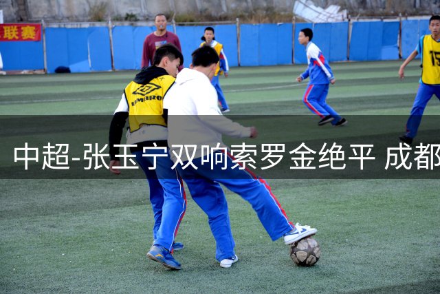 中超-张玉宁双响索罗金绝平 成都连扳两球2-2国安4连平