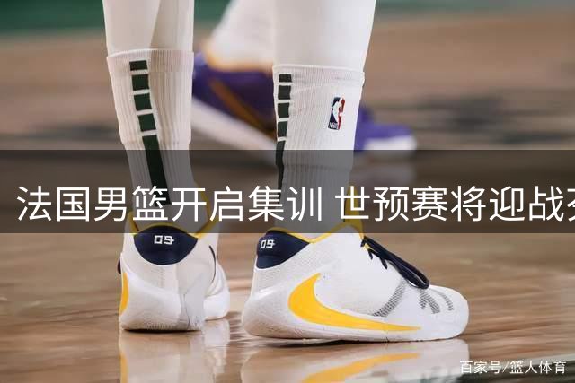 法国男篮开启集训 世预赛将迎战芬兰瑞典两队